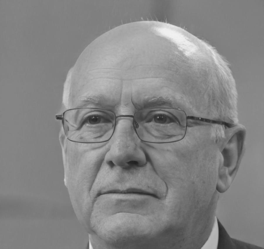 Damián Herrera, Senior Financial Analyst